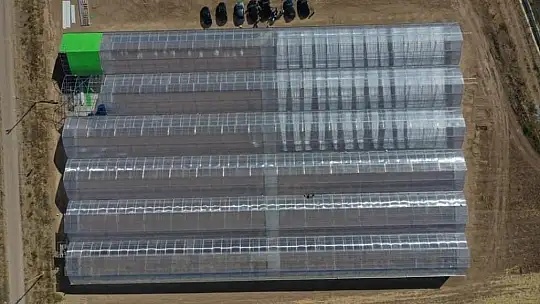 Fethiye'nin ihracat rekortmeni Ölüdeniz Sistem Sera!
