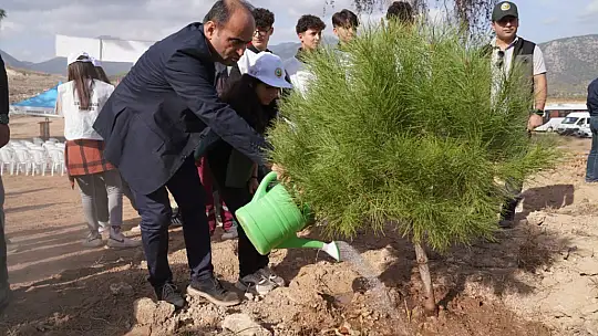 Başkan Akdenizli 'Kül Olan Ormanlarımızı Yeşertiyoruz'