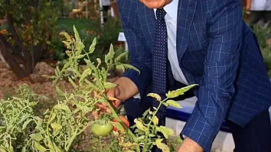 Türkiye'nin Yerli Tohumu Muğla'dan