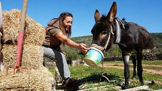 'Lodos' yeni yuvasında 