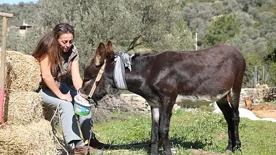 'Lodos' yeni yuvasında 