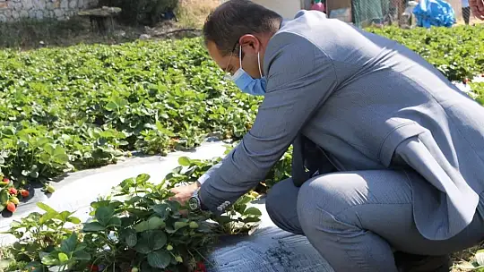 Üreticinin elinde kalan ürünler vatandaşlara dağıtılıyor