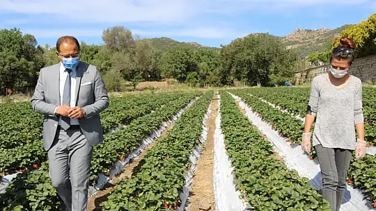 Üreticinin elinde kalan ürünler vatandaşlara dağıtılıyor