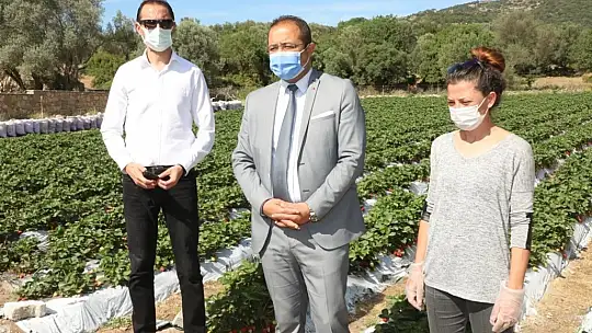 Üreticinin elinde kalan ürünler vatandaşlara dağıtılıyor