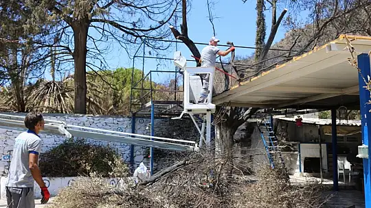Bodrum Belediyesi Yangın Sonrası Tehlike Oluşturan Ağaçlara Müdahale Etti
