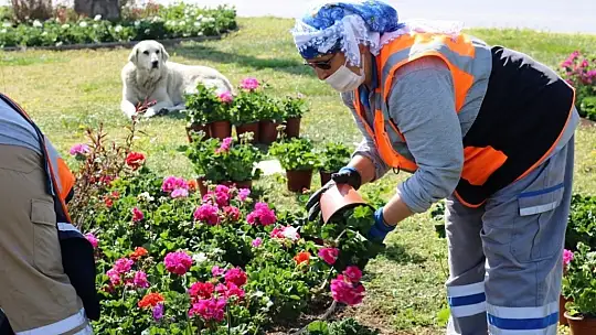 Bodrum'da hazırlıklar tamam