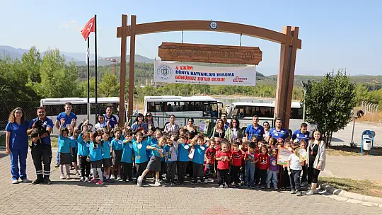 Büyükşehir Geçici Hayvan Bakımevi 4 Ekim'de Minik Misafirleri Ağırladı