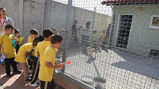 Büyükşehir Geçici Hayvan Bakımevi 4 Ekim'de Minik Misafirleri Ağırladı
