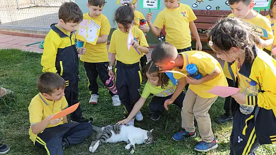 Büyükşehir Geçici Hayvan Bakımevi 4 Ekim'de Minik Misafirleri Ağırladı