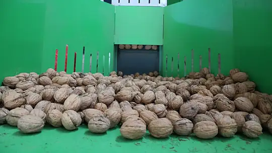 Büyükşehir'den üreticiye destek