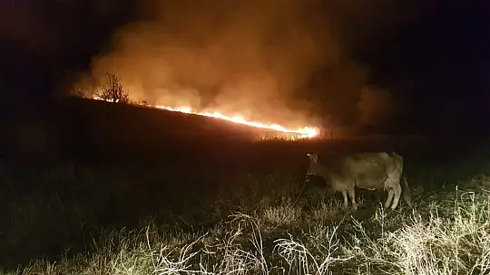 Yangın itfaiyenin çabası ile söndürüldü