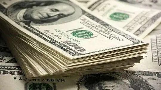 1 Dolar 10 TL, gram altın 600 TL
