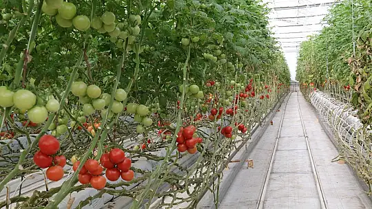 ÜRETİCİLERİN DİKKATİNE ÇKS BAŞVURULARI BAŞLADI!