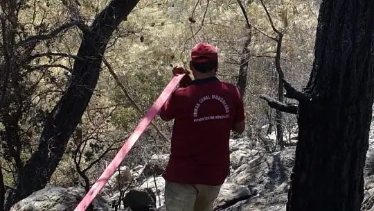 Doğu, 'Burası rast gele yol üzeri bir yer değil'
