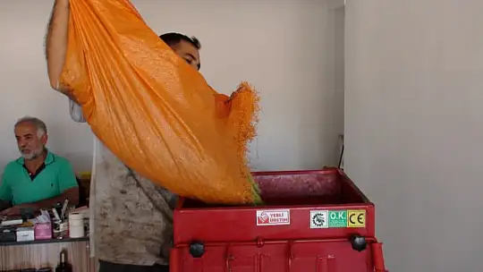 BU SENENİN İNCİSİ SİYAH ZEYTİN