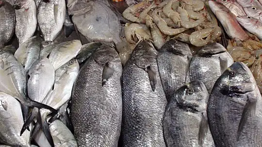 TROL AVI AÇILDI ÇEŞİT ARTTI