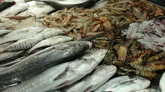 TROL AVI AÇILDI ÇEŞİT ARTTI