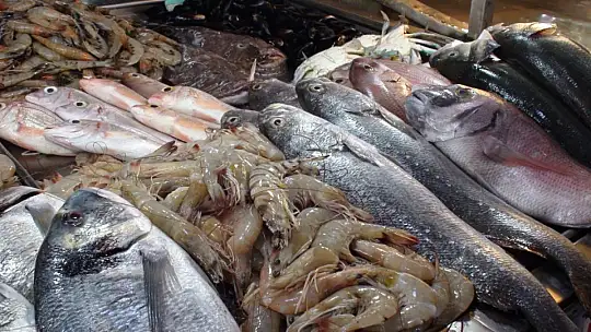 TROL AVI AÇILDI ÇEŞİT ARTTI