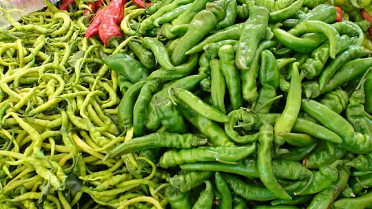 ÜRETİCİ PAZARI TIKLIM TIKLIM