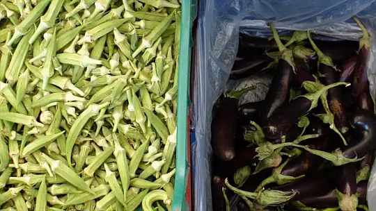 ÜRETİCİ PAZARI TIKLIM TIKLIM