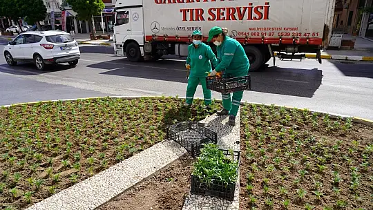 Daha Güzel Bir Milas İçin...