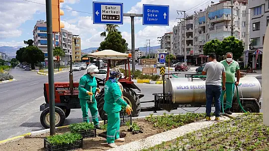 Daha Güzel Bir Milas İçin...