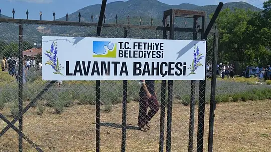 Fethiye'nin Koku Vadisi'nde ilk hasat