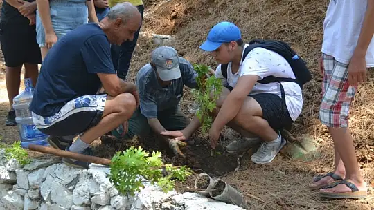 Büyük Samanlık Plajı'nda ağaç dikim etkinliği