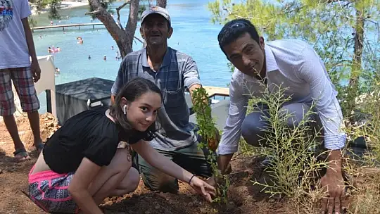 Büyük Samanlık Plajı'nda ağaç dikim etkinliği