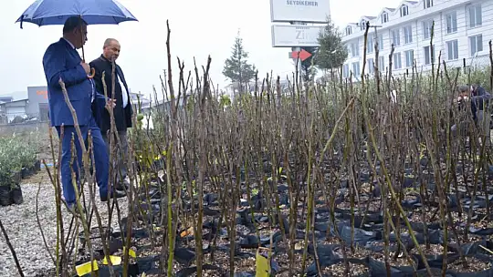 Ftso'dan Kaya İnciri Üretimine Destek