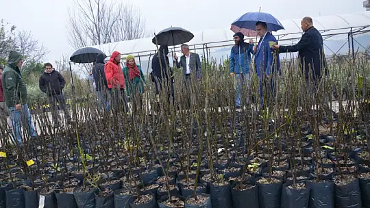 Ftso'dan Kaya İnciri Üretimine Destek