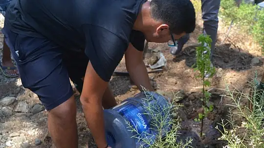 Büyük Samanlık Plajı'nda ağaç dikim etkinliği
