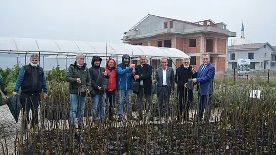 Ftso'dan Kaya İnciri Üretimine Destek