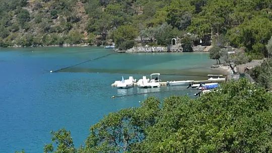 Başkan Adayı Kökten, projelerini hayata geçirecek