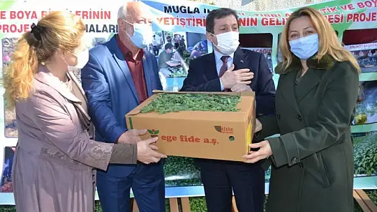 Fethiye'de Endemik Bitkiler Müzesi kurulacak