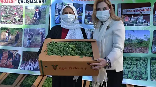 Fethiye'de Endemik Bitkiler Müzesi kurulacak