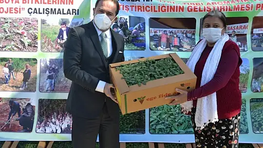 Fethiye'de Endemik Bitkiler Müzesi kurulacak
