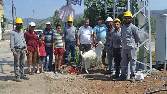 Cami Mahallesi Muhtarı Kavak, mahallenin elektirik sorununu çözdü
