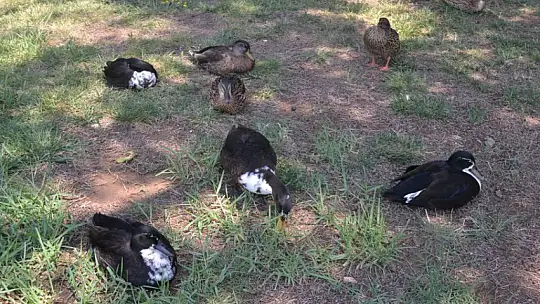 AKDENİZ'İN KIYISINDA BİR İNCİ, GÜNLÜKLÜ THE BAY BEACH