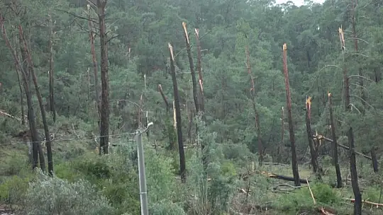 Hortum İnlice'de zarara yol açtı 