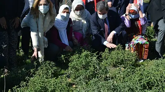 Fethiye'de Endemik Bitkiler Müzesi kurulacak