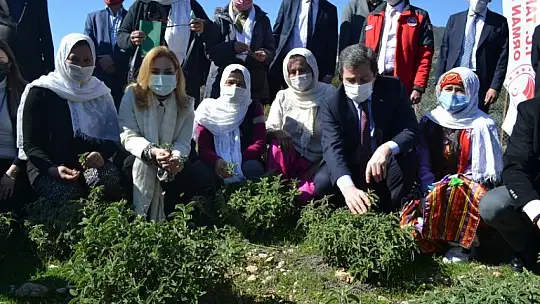 Fethiye'de Endemik Bitkiler Müzesi kurulacak