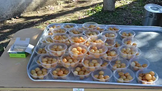 Şehitler İçin Lokma Döktürdüler