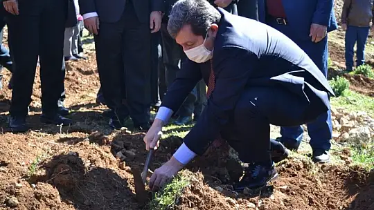 Fethiye'de Endemik Bitkiler Müzesi kurulacak