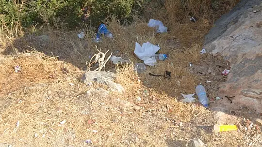 Ölüdeniz'de bayram sonu çevre temizliği yapıldı