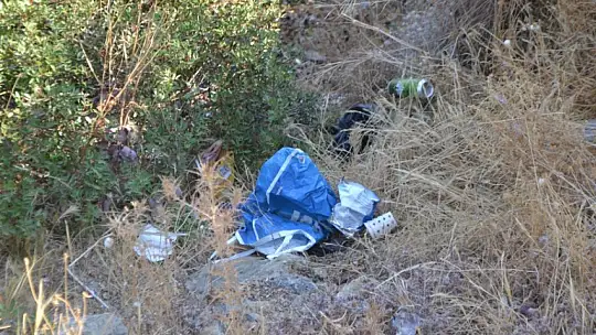 Ölüdeniz'de bayram sonu çevre temizliği yapıldı