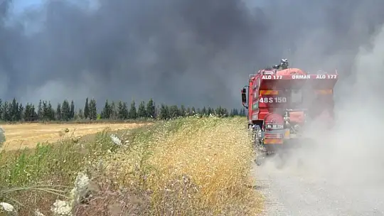 Dalaman Mopak Kağıt Fabrikasında yangın