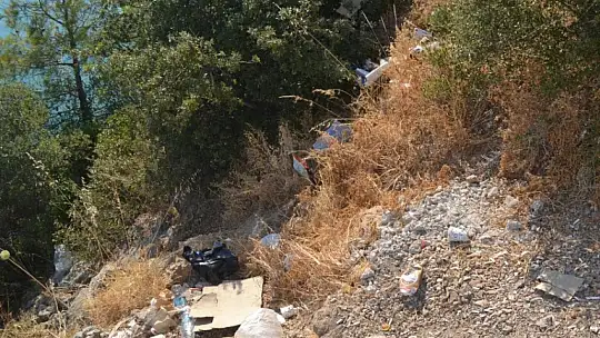 Ölüdeniz'de bayram sonu çevre temizliği yapıldı