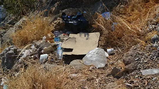 Ölüdeniz'de bayram sonu çevre temizliği yapıldı