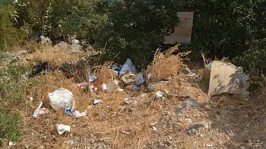 Ölüdeniz'de bayram sonu çevre temizliği yapıldı